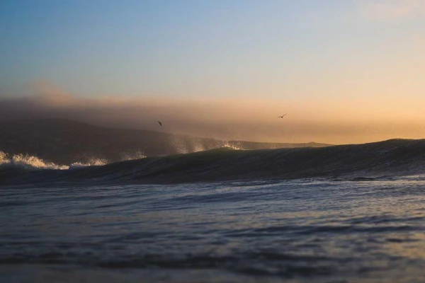 Mediterranean Gardens