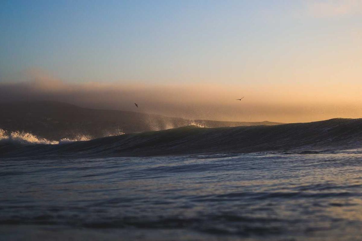 Mediterranean Gardens