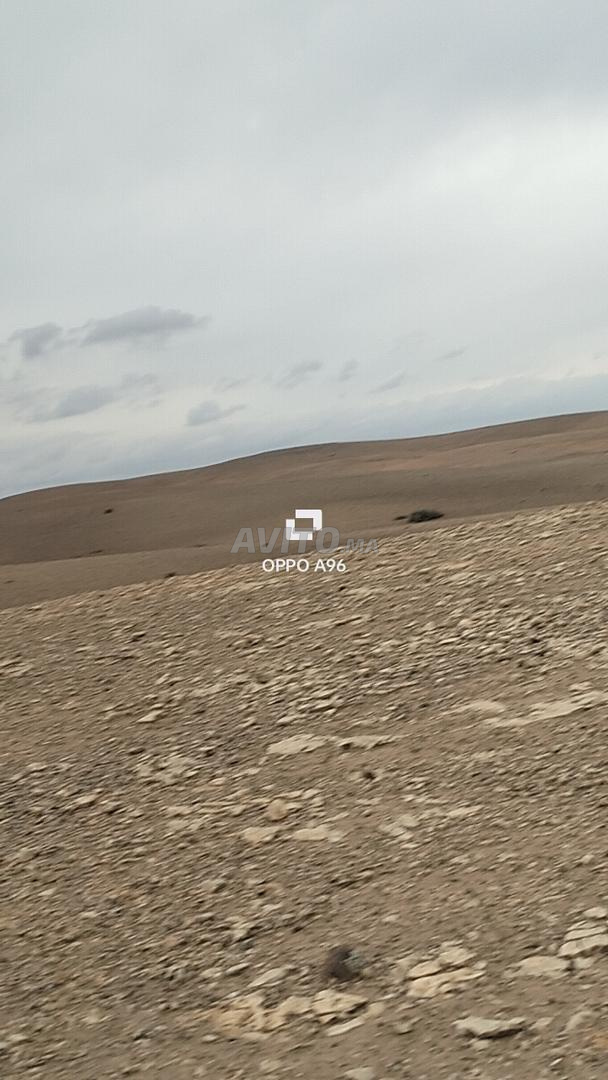 Hectare 8260m2 route Amzmiz