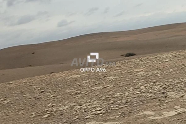 Hectare 8260m2 route Amzmiz