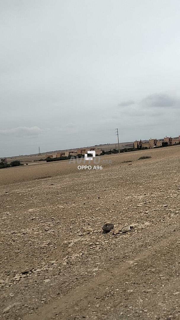 Hectare 8260m2 route Amzmiz