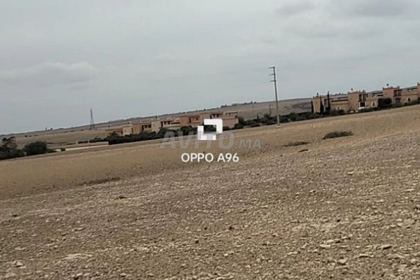 Hectare 8260m2 route Amzmiz