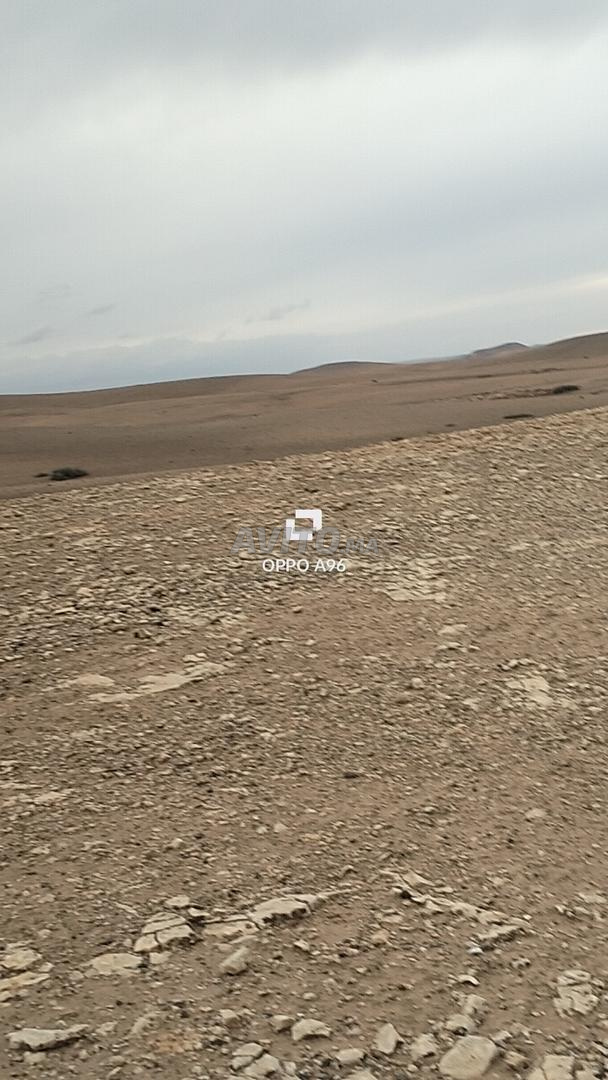 Hectare 8260m2 route Amzmiz