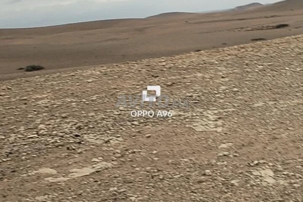 Hectare 8260m2 route Amzmiz