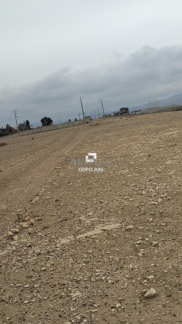 Hectare 8260m2 route Amzmiz