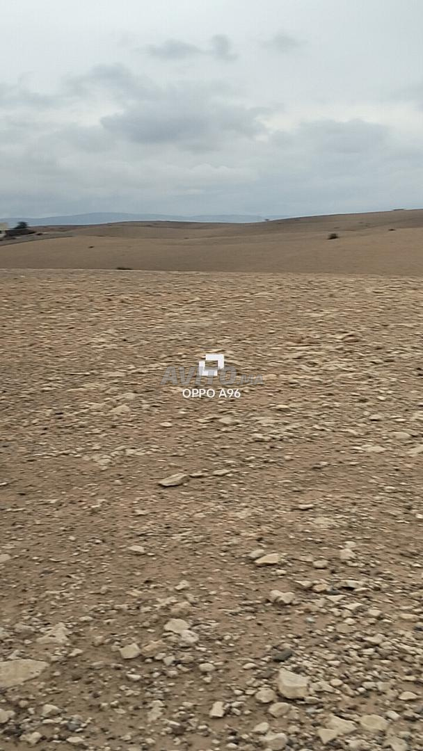 Hectare 8260m2 route Amzmiz