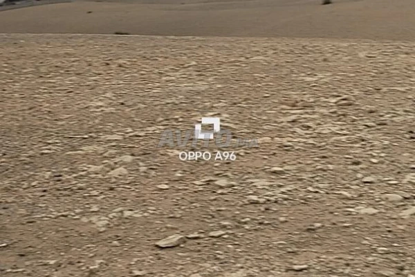 Hectare 8260m2 route Amzmiz