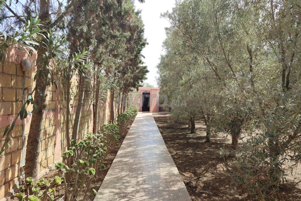 Terrain et villa 1419m2 en Vente à Sidi Bennour