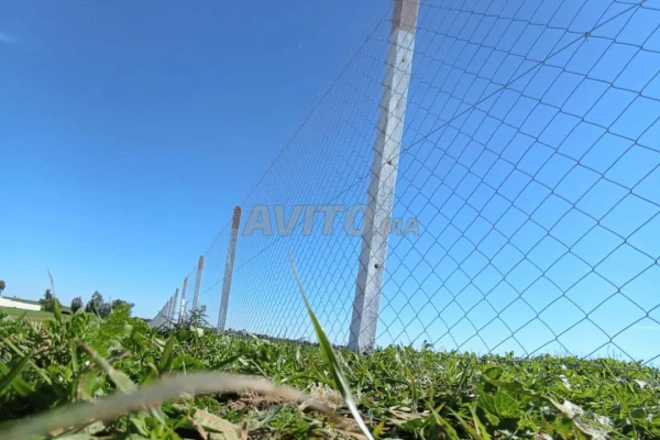 Terrain zone plan de développement