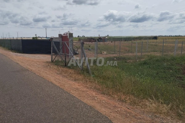 Terrain titré, à Sidi Benour Bouchraik