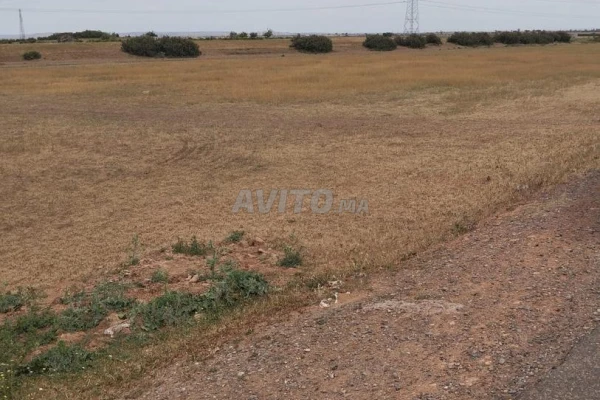 Terrain titré, à Sidi Benour Bouchraik
