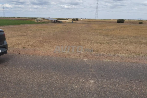 Terrain titré, à Sidi Benour Bouchraik