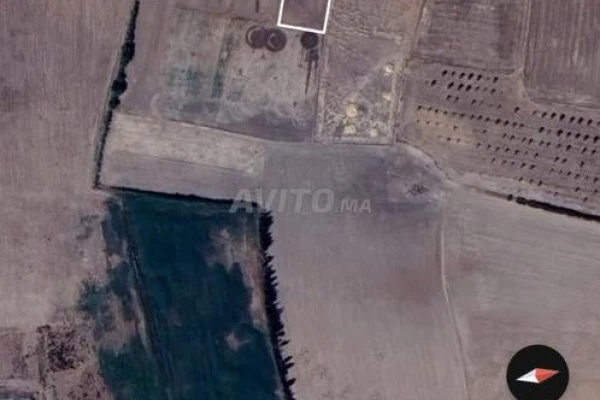 Terrain agricole à vendre