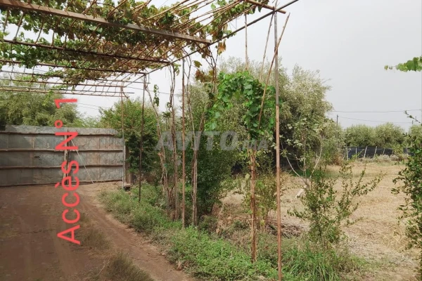 Terrain de 3000 m carré km 21 Rte Abdellah Riyyat 