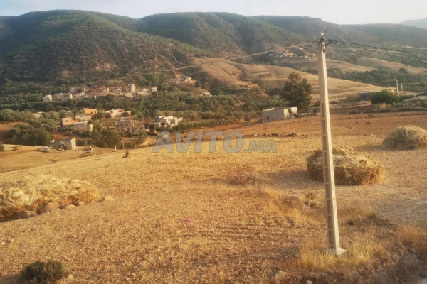 ارض للبيع في اوريكة /terrain à vendre 