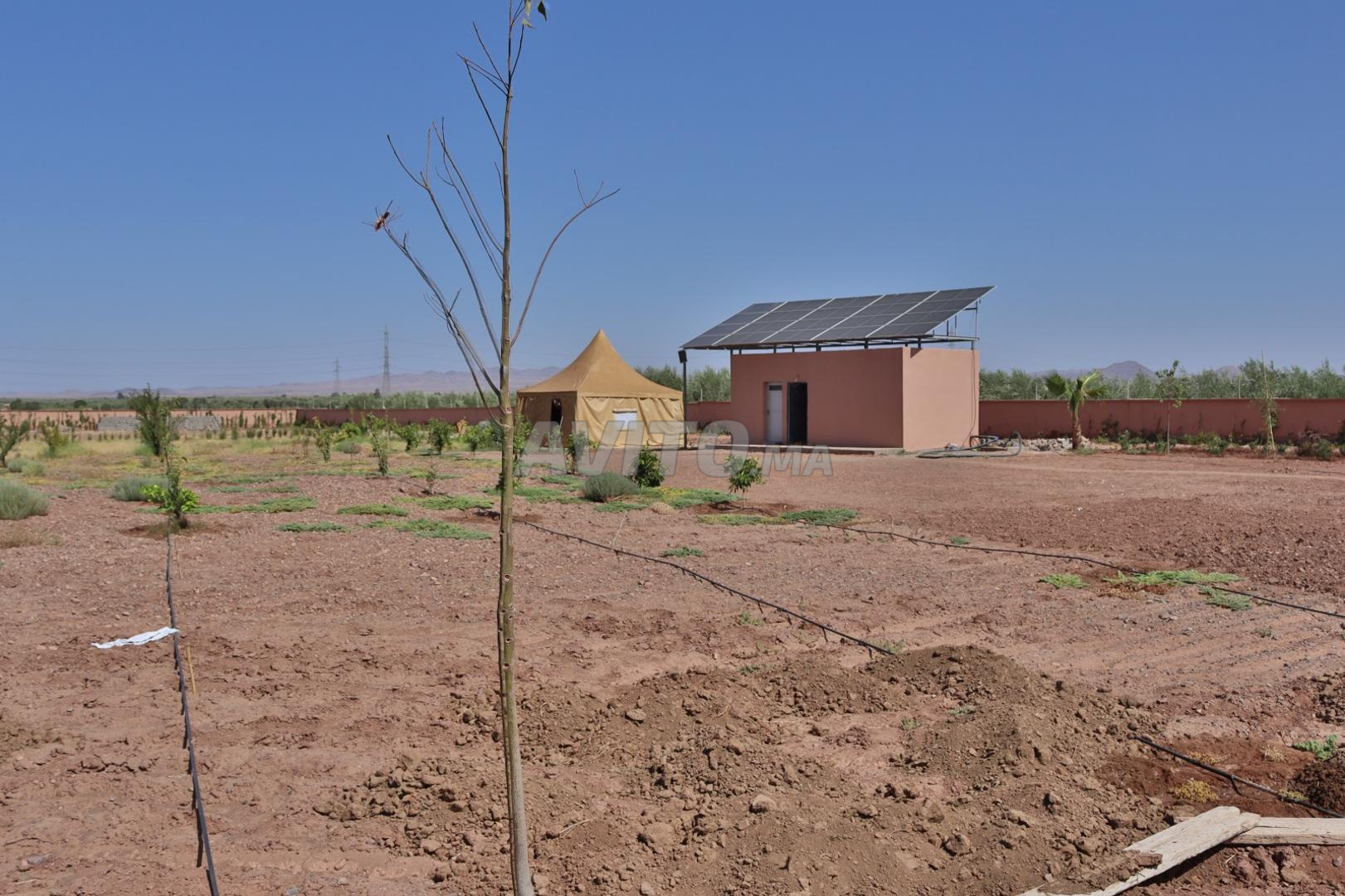 Terrain à vendre avec permis de construire