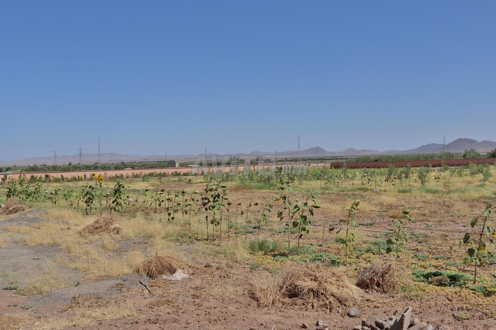 Terrain à vendre avec permis de construire