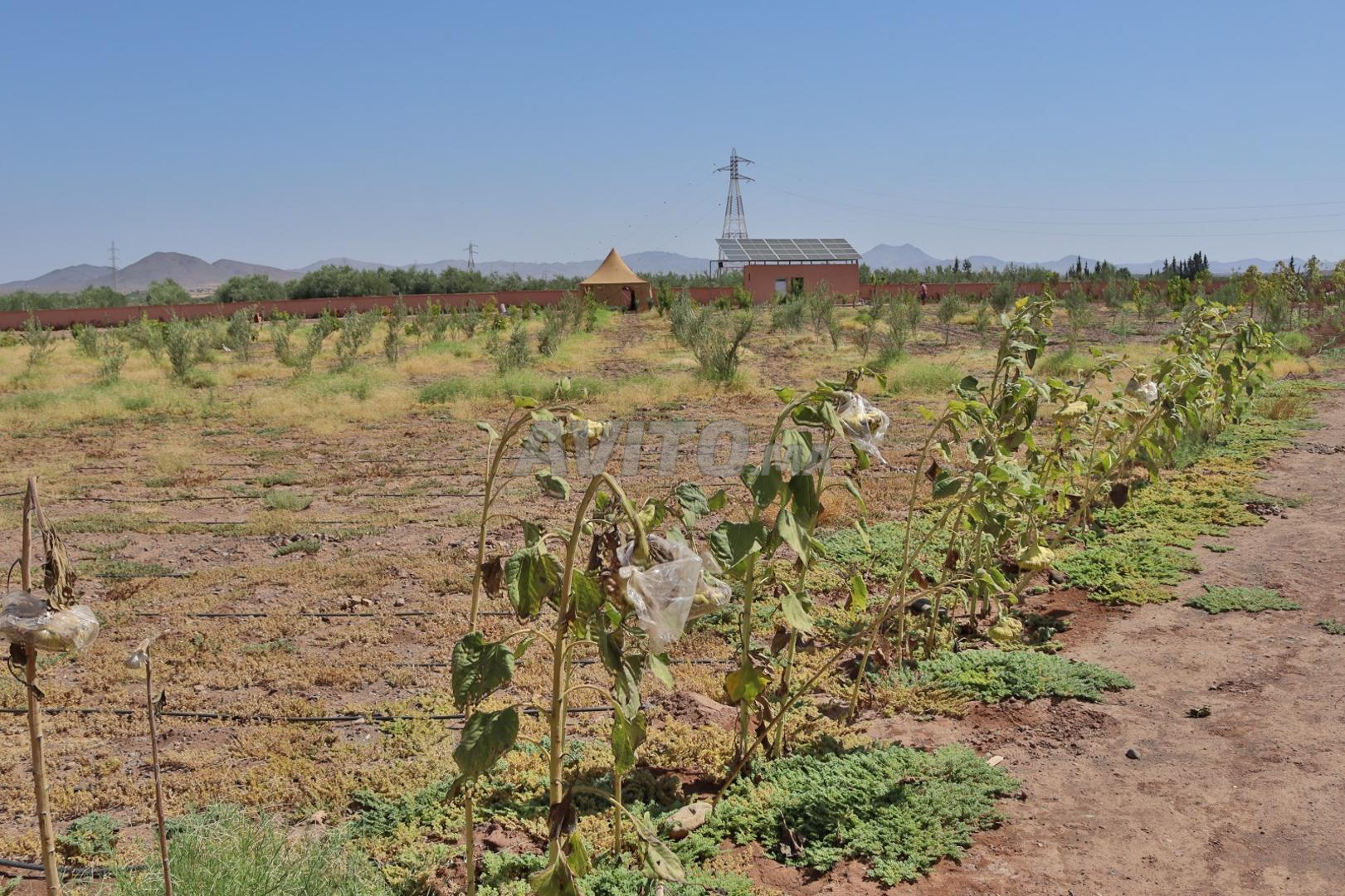 Terrain à vendre avec permis de construire