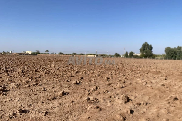 Terrain à vendre titré de m² 45000 projet.-sa2